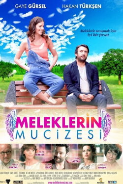 Miracle of the Angels (2014) Miracle of the Angels (2014)