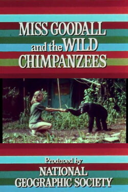 Miss Goodall and the Wild Chimpanzees (1965) Miss Goodall and the Wild Chimpanzees (1965)