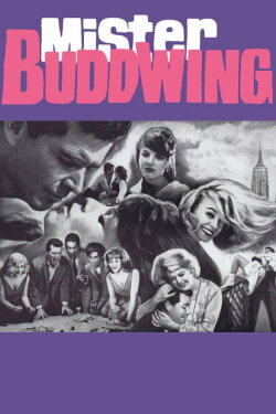 Mister Buddwing (1966) Mister Buddwing (1966)