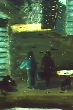 Mitt land (Mi país) (1981) Mitt land (Mi país) (1981)