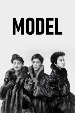 Model (1981)