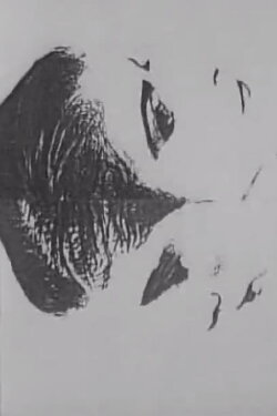 Model (1987)
