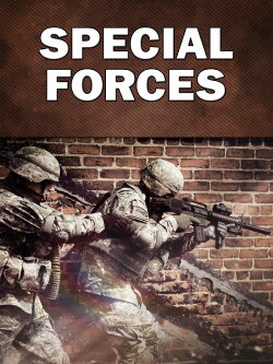 Modern Warfare: Special Forces (2015)