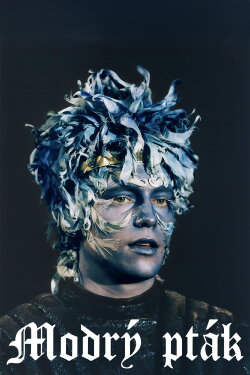 Modrý pták (1993)