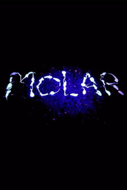Molar (2016)
