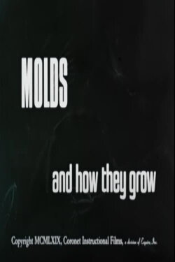 Molds and How They Grow (1969) Molds and How They Grow (1969)