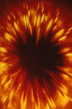 Momentum (1968) Momentum (1968)