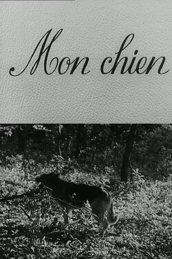 Mon chien (1955)