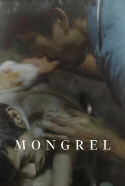 Mongrel (2025) Mongrel (2025)
