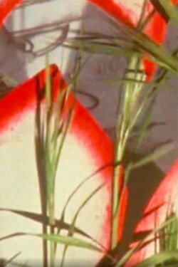 Monodie parsemée (1988)