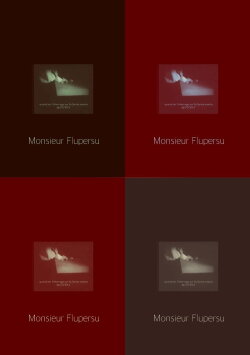Monsieur Flupersu (2000) Monsieur Flupersu (2000)
