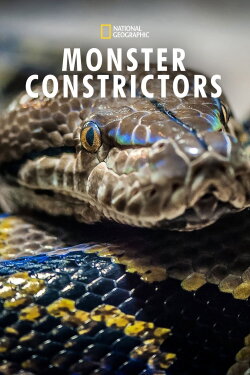 Monster Constrictors (2021) Monster Constrictors (2021)