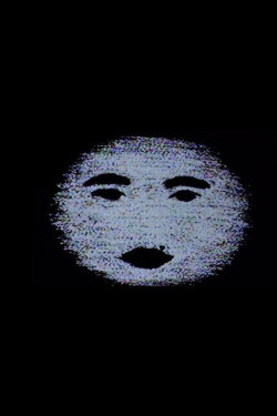 Moonlit Night and Opal (2015) Moonlit Night and Opal (2015)