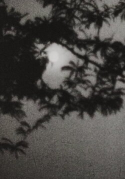 Moonplay (1962)