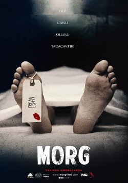 Morg (2017) Morg (2017)