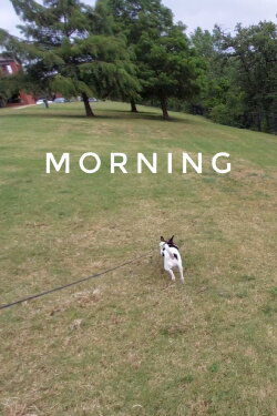 Morning (2021) Morning (2021)