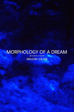 Morphology of a Dream (2014) Morphology of a Dream (2014)