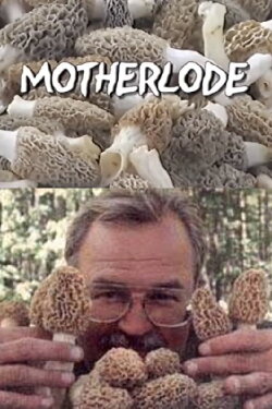 Motherlode (2002)