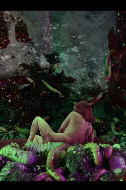 Mother's Gut (2020) Mother's Gut (2020)