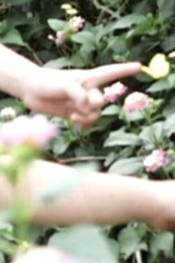motion (2010)