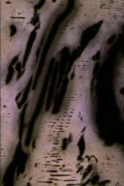 Motion of Light (2004) Motion of Light (2004)