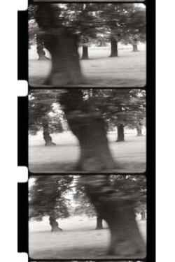 Motion Parallax (1968)