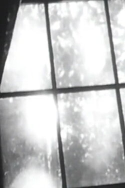 Mountain Cat (1980)