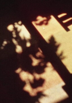 Movement and Stillness (2015) Movement and Stillness (2015)