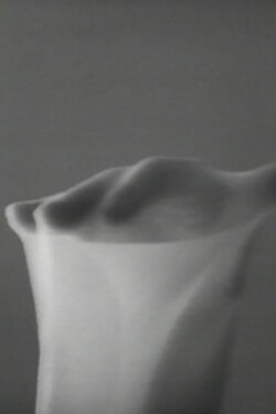 Movements in Light (1976)