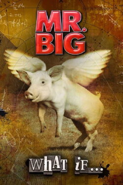Mr. Big: The Making Of 'What If...' (2011) Mr. Big: The Making Of 'What If...' (2011)