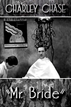 Mr. Bride (1932) Mr. Bride (1932)