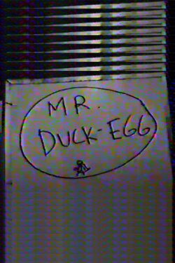 Mr. Duck-Egg (2020)