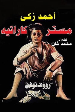 Mr. Karate (1993)