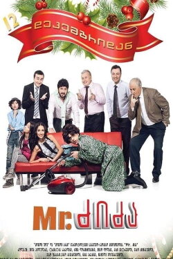 Mr. Nanny (2013)