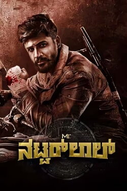Mr. Natwarlal (2024)