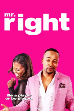 Mr. Right (2015) Mr. Right (2015)