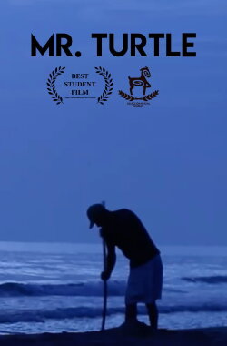 Mr. Turtle (2018)