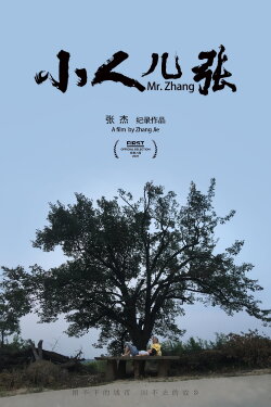 Mr. Zhang (2021) Mr. Zhang (2021)