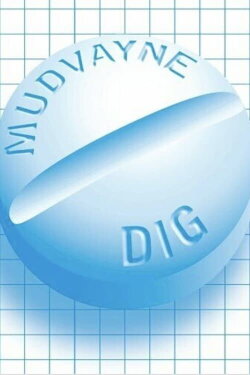Mudvayne: Dig (2001)