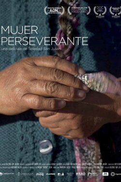Mujer perseverante (2023) Mujer perseverante (2023)