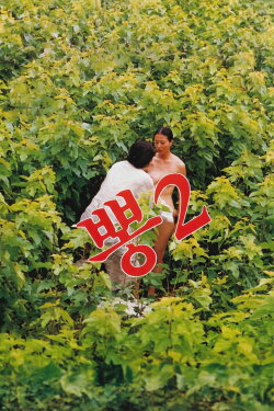 Mulberry 2 (1988)