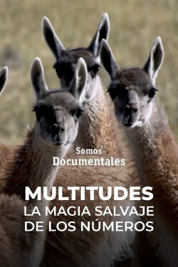 Multitudes: The Power of Numbers (2023)