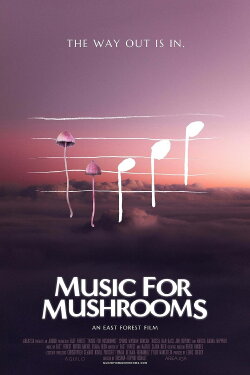 Music for Mushrooms (2024) Music for Mushrooms (2024)