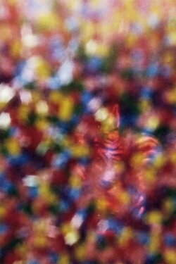 Music For Your Eyes (1971)