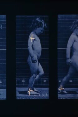 Muybridge (1991) Muybridge (1991)