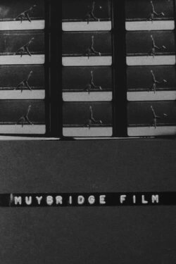 Muybridge Film (1975) Muybridge Film (1975)