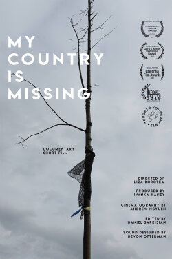 My Country is Missing (2019) My Country is Missing (2019)