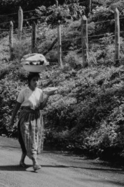 My Country Occupied (Newsreel #151) (1971) My Country Occupied (Newsreel #151) (1971)