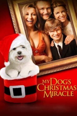 My Dog's Christmas Miracle (2011) My Dog's Christmas Miracle (2011)