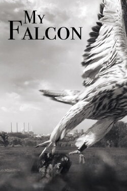 My Falcon (2023)